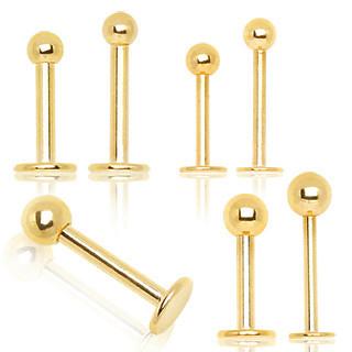 5 x 16g 8mm Gold Plated Surgical Steel Bars Nose Lip Ear Cartilage Tragus - Pierced n Proud